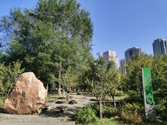 -长白岛森林公园