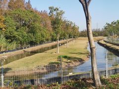 -上海长兴岛郊野公园