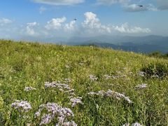 -白草畔自然风景区