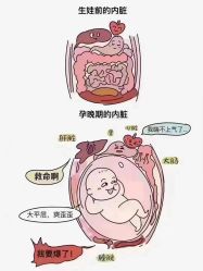 -姿馨妈咪催乳通乳·产后修护·孕妇按摩(空港店)