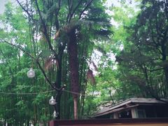-新竹里馆·花园餐厅(兴苑路店)