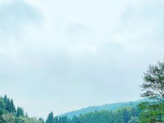 -武陵山森林公园