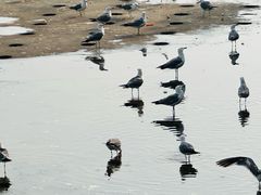 -星海广场