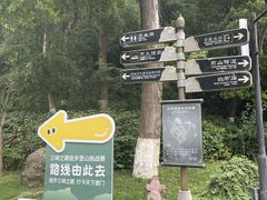 -白帝城·瞿塘峡景区