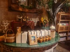 -叶叶菩提(太原别墅店)