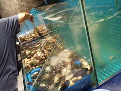 -曼格活海鲜·牛排自助(光明蓝鲸店)