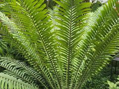 -北京植物园-展览温室