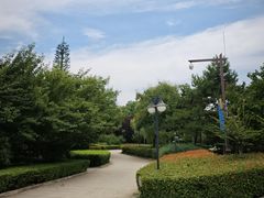 -西安青龙寺遗址景区