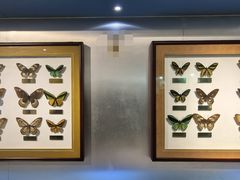 -上海昆虫博物馆