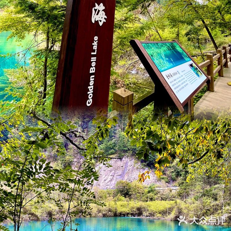 四川九寨沟详细旅游攻略｜秋冬出游·看这里✔️