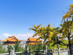 -崇圣寺三塔文化旅游区