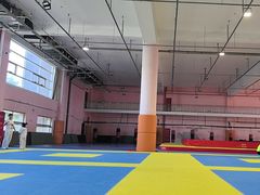 -武术世家少儿培训中心(首都体育学院店)