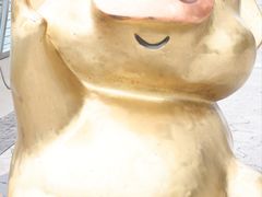 -星光大道