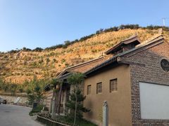 -五龙城郊森林公园
