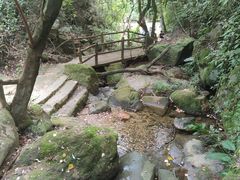 -南丹山森林王国