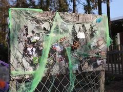 -前小桔亲子创意农场·草莓采摘·露营烧烤