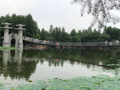 -东湖落雁景区