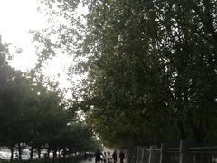 -辽宁大学(崇山校区)