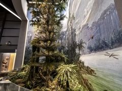 -浙江自然博物院(杭州馆)