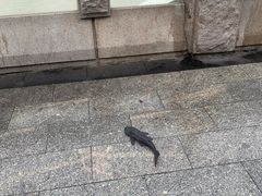 -洲头咀公园