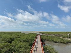 -北海金海湾红树林生态旅游区