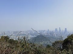 -惠山国家森林公园