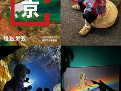 -凤凰国际书城(凤凰广场店)