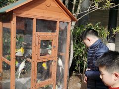 -上海崇明金茂凯悦酒店