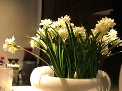 -黛瓦里巷(南京东路店)