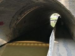 -白水寺森林公园