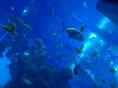 -成都浩海立方海洋公园