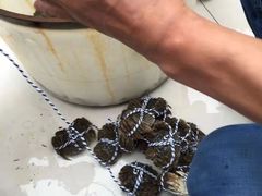 -秋月舫(阳澄湖湖滨中路店)