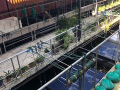 -巴城蟹园(阳澄湖蟹舫苑店)
