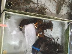 -南沙十九涌渔人码头-南门