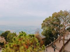 -灵岩山风景区