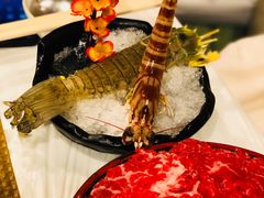 -鲜入围煮花胶鸡海鲜火锅