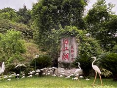 -广州白江湖森林公园