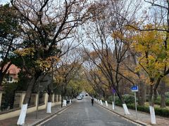 -八大关景区