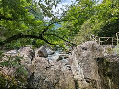 -石台牯牛降景区