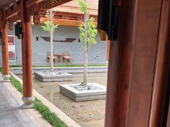 -丽江金茂隐逸酒店-凯悦臻选SPA