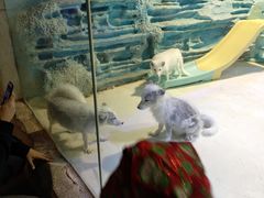 -华夏文旅海洋公园