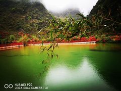 -靖西鹅泉风景区