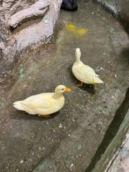 -Zoolung Zoolung动物主题公园(海信广场店)