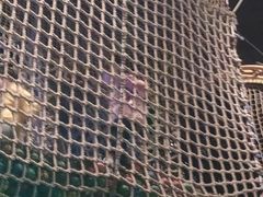 -珠海横琴国家地理探险家中心(创新方)