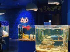 -欢乐海岸海洋奇梦馆