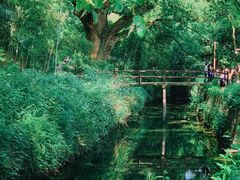 -古堰画乡景区
