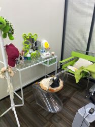 -凡碧诗毛孔清洁收细