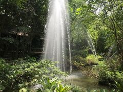 -绿光森林餐厅