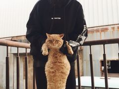 -济南轻骑摩托车有限公司(和平路)