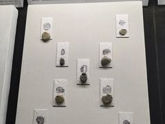 -古陶文明博物馆
